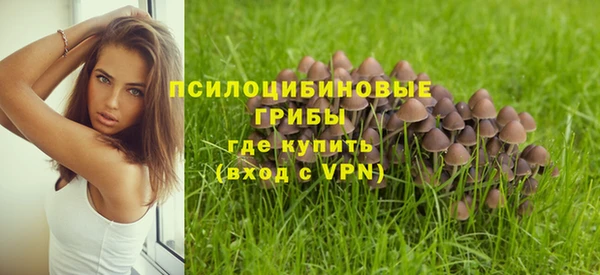 СК Арсеньев